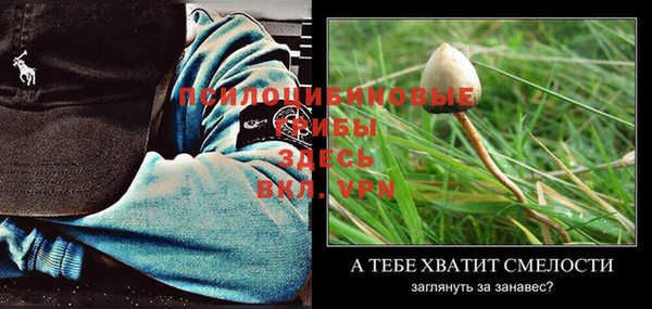 mdma Лагань