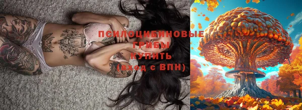 СК Ладушкин