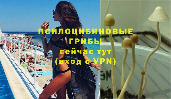 mdma Лагань