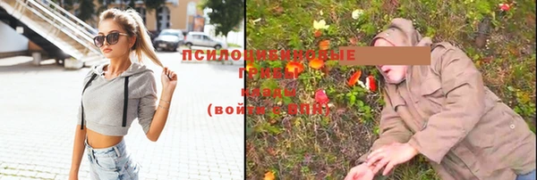 mdma Лагань